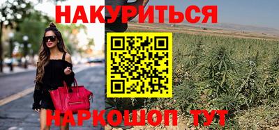 ECSTASY Канаш