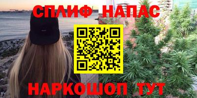 ECSTASY Камышлов