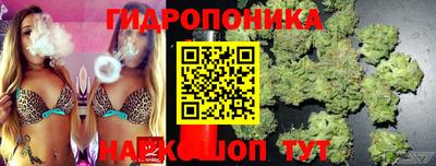 ECSTASY Камышлов