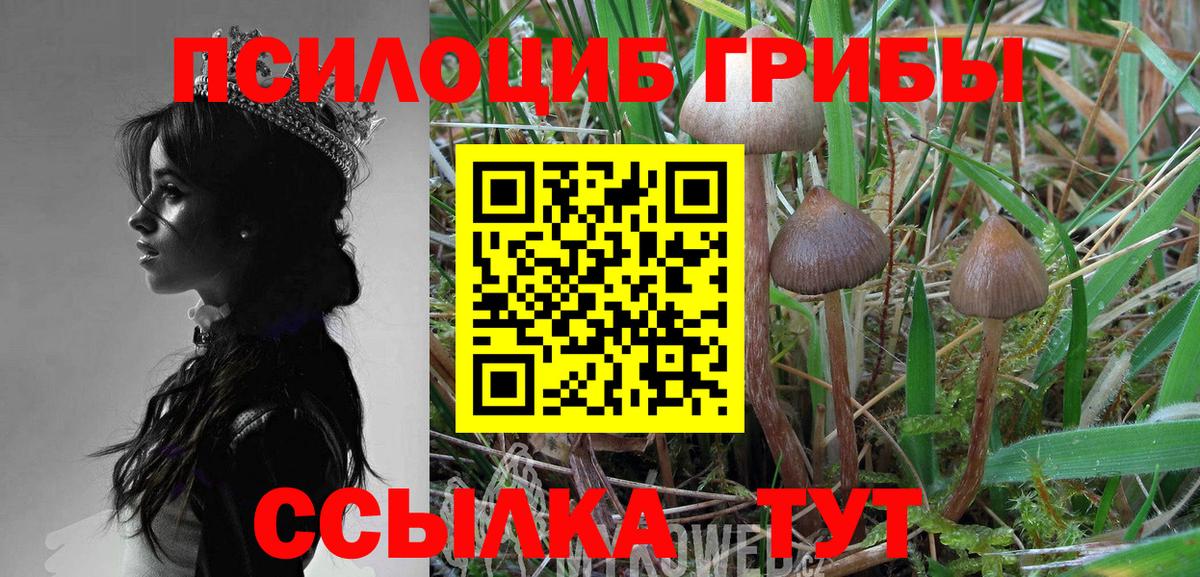 Галлюциногенные грибы MAGIC MUSHROOMS Карасук
